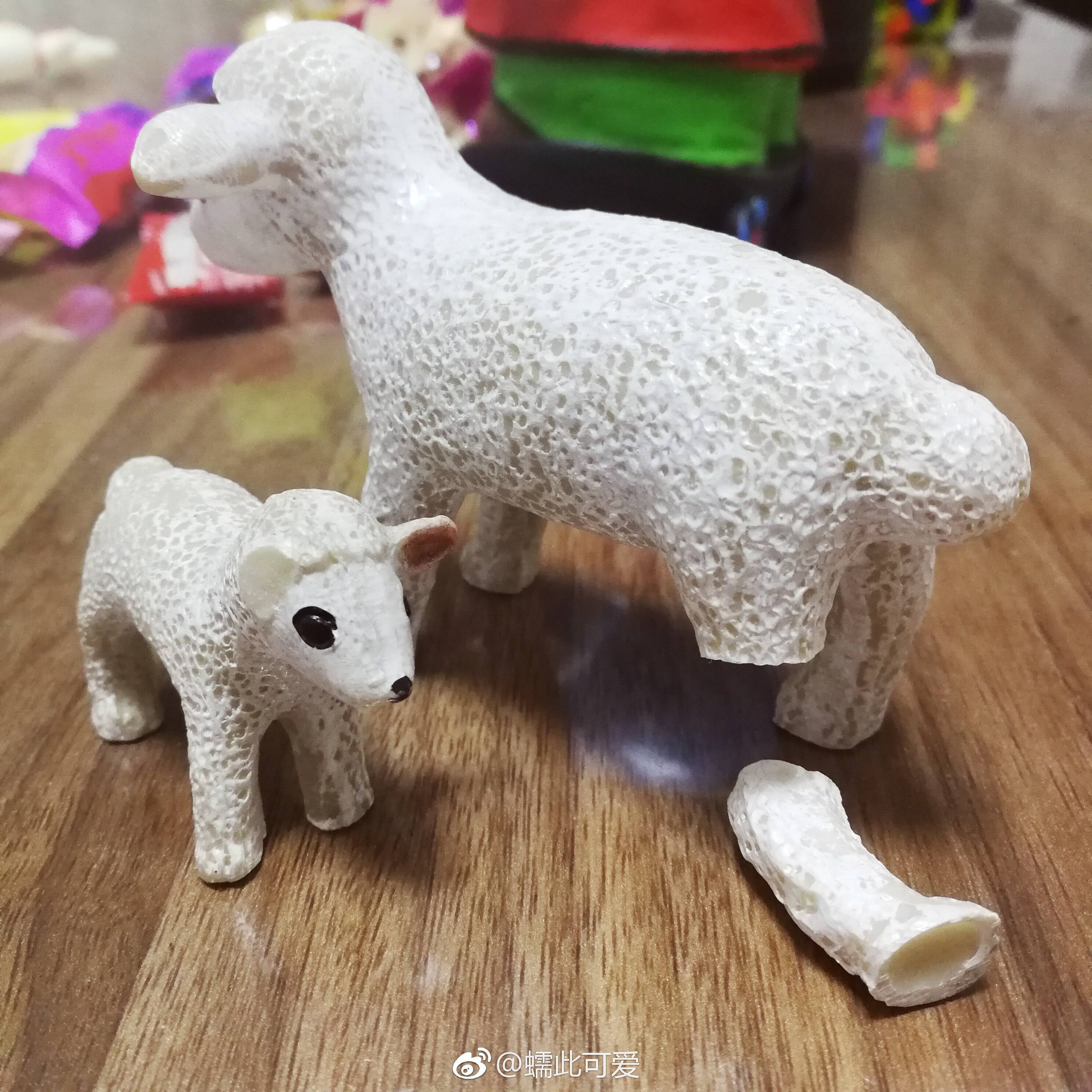 图像的感知和获取
