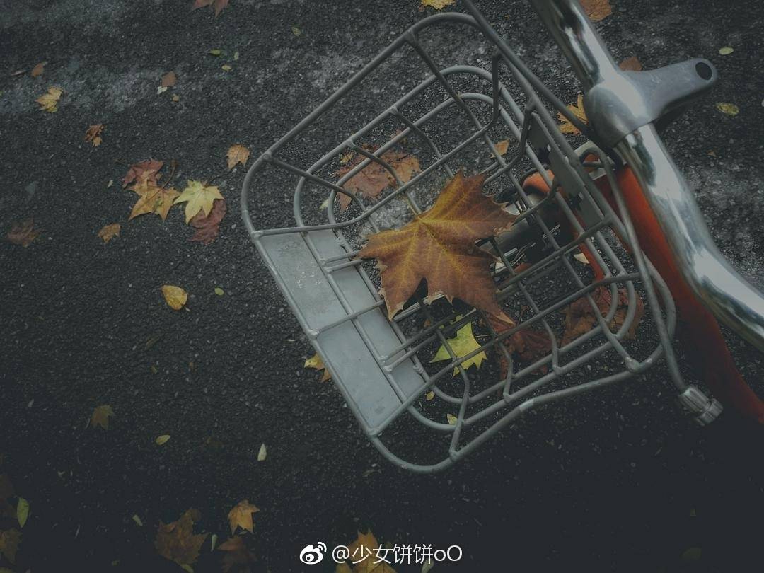 DNA螺旋