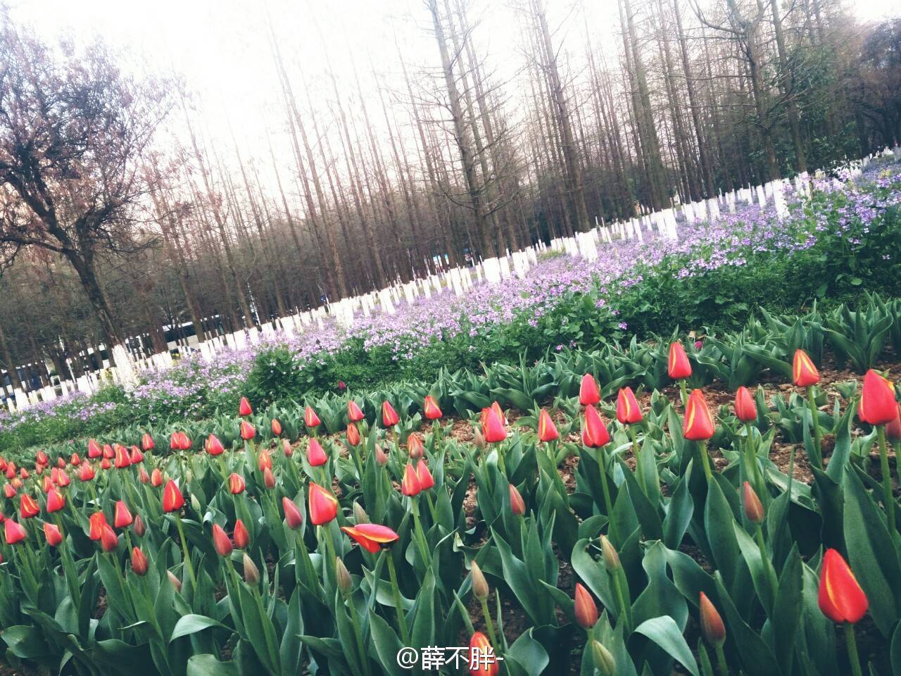 006cn0osjw1f278qaoofmj30zk0qoamj.jpg