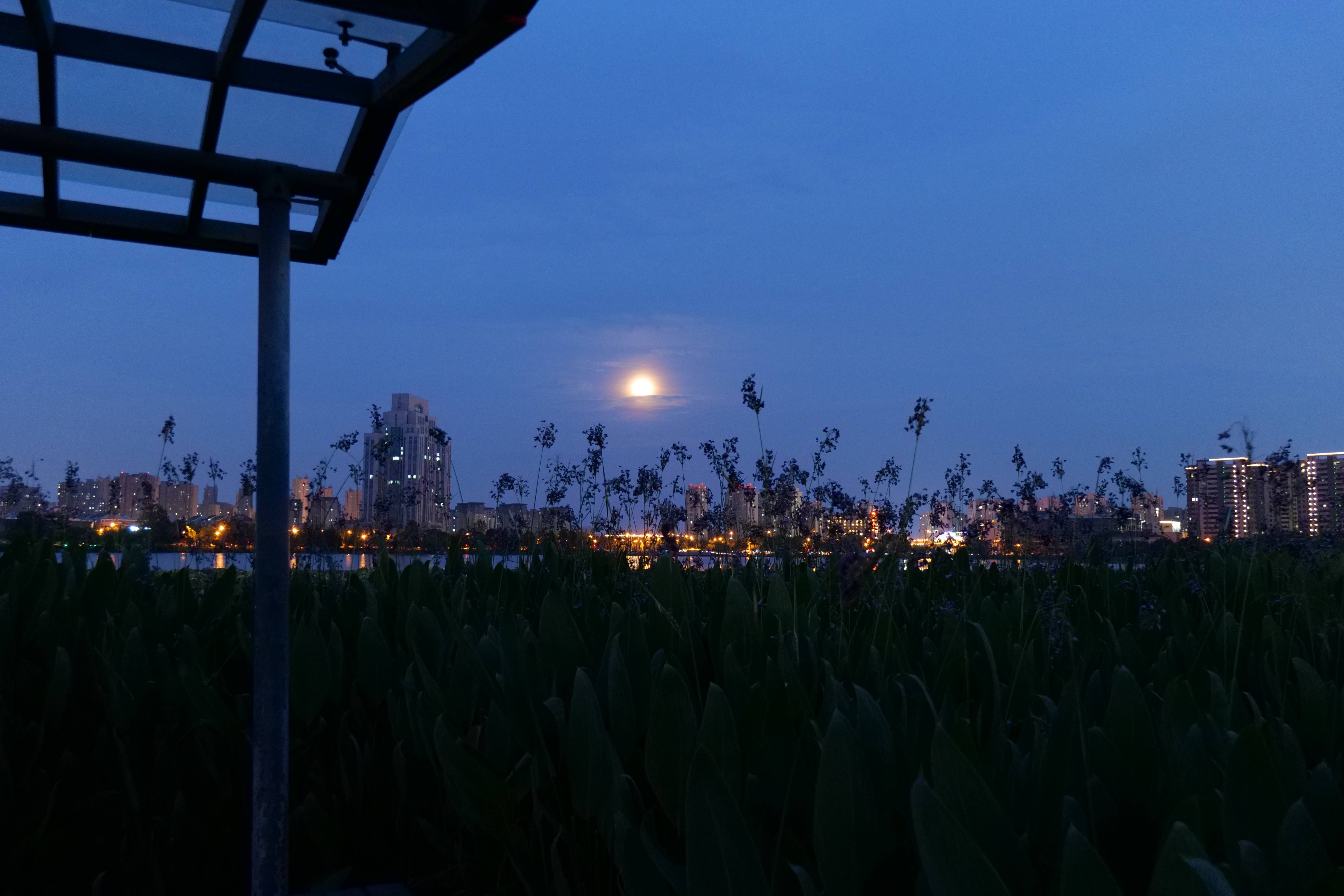 第二章习题选做